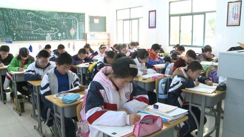 1512355716532057.jpg 222.jpg