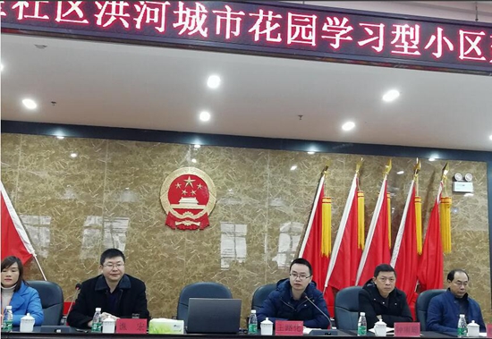 1545271060356835.jpg 大面街道分管領(lǐng)導(dǎo)發(fā)言.jpg