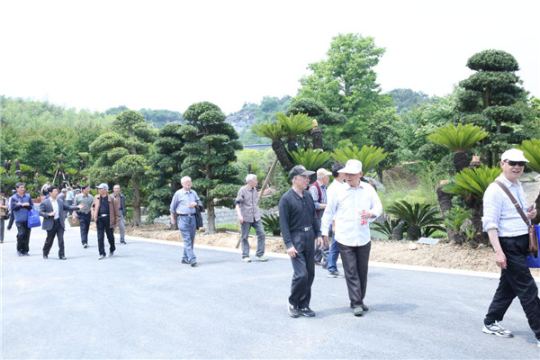 1558420250964428.jpg 圖片3.jpg