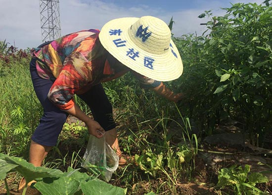 1563254739697516.jpg 1.jpg