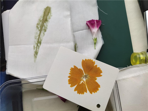 1625413400796220.jpg 圖片66.jpg