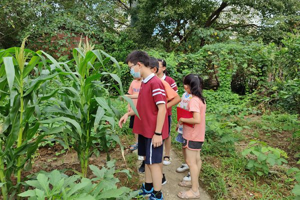 1628487799909469.jpg IMG_20210806_083722_副本.jpg