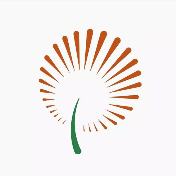 1562310431953545.jpg 1.JPG