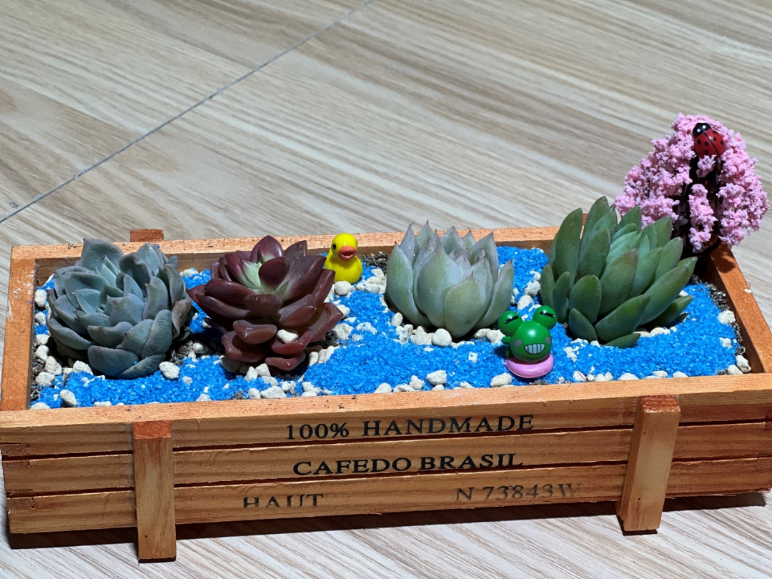 1656412226146662.png 1656412226146662.png