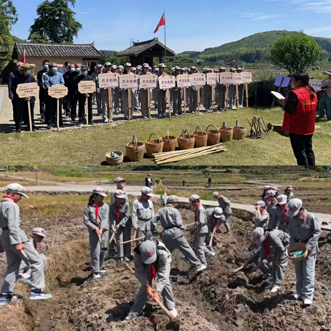 1656495317130378.png 1656495317130378.png