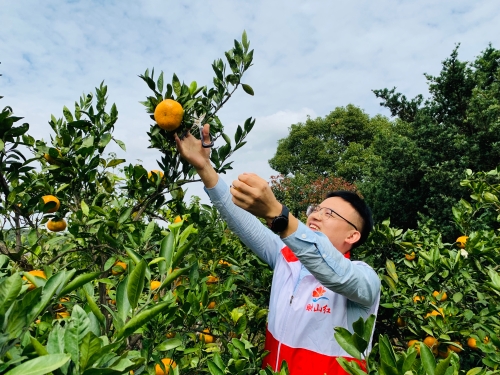 1604364637657719.jpg 1604364637657719.jpg