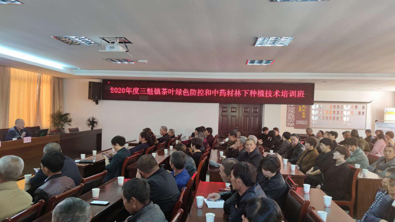 1605081404130281.png 1605081404130281.png