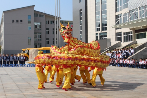 1605493861920022.jpg 1605493861920022.jpg