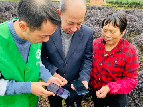 送技入田頭 花農(nóng)受益多.jpg