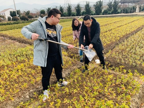 專家助農(nóng)入花田 土壤改良增效益.jpg