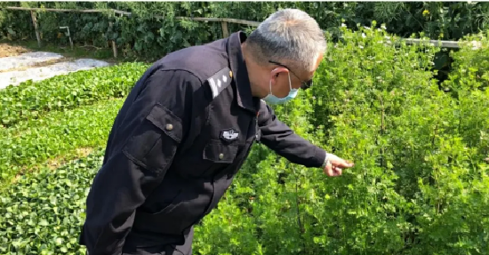 1617591242535958.png 微信圖片_20210329145258.png