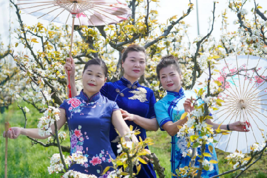 1617591957450995.png 圖片64.png