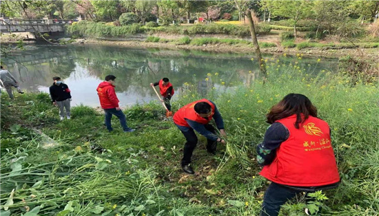 1617770382464831.jpg 圖片49.jpg