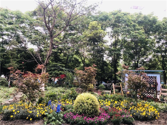 1618458098889246.jpg 圖片7.jpg