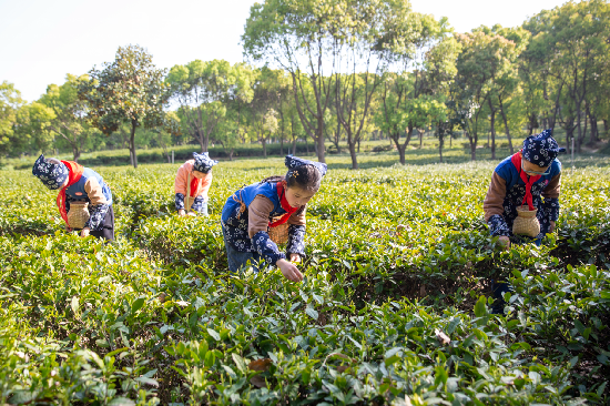 1618458836999131.jpg 2.jpg