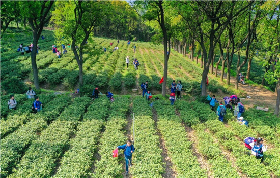 1618458843419229.jpg 3..jpg