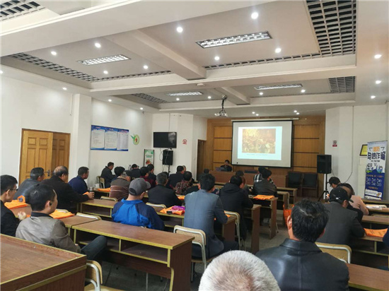 1618470586580666.jpg 2.jpg