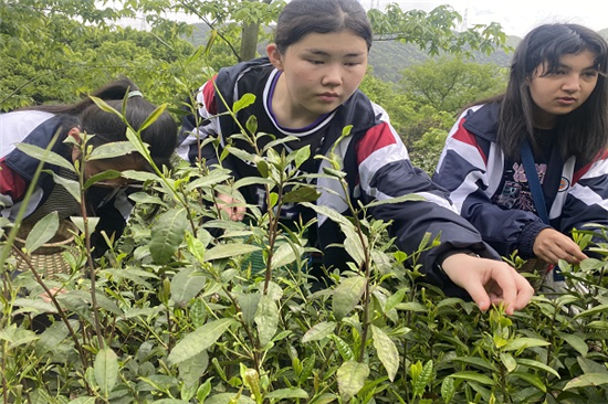 1619660332925675.jpg 農(nóng)事體驗(yàn)讓田間更有“看頭” (2).jpg