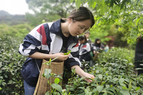 1619660338365578.jpg 農(nóng)事體驗(yàn)讓田間更有“看頭” (3).jpg