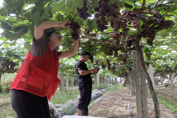 1629186432373222.jpg IMG_2695_副本.jpg