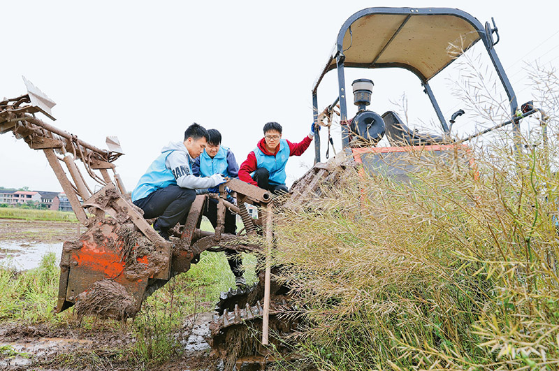 1684311529192955.png 1684311529192955.png