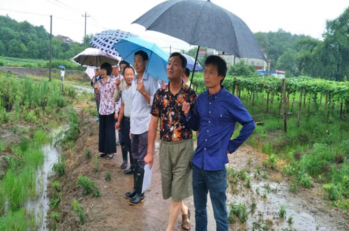 1611800993569259.png 20210127110950747.png