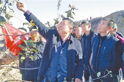 1511770773282728.jpg 146452628.jpg