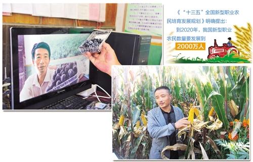 新型職業(yè)農(nóng)民.jpg