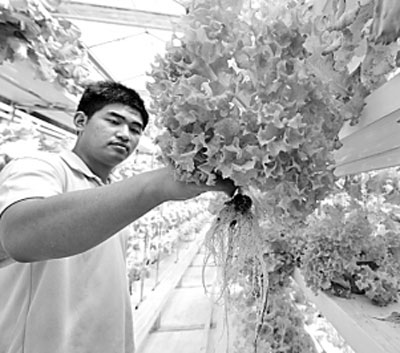 1519285563475292.jpg 新型職業(yè)農(nóng)民.jpg