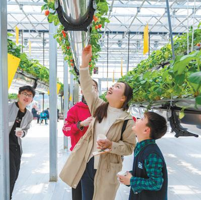 1581317098764182.png 1.png