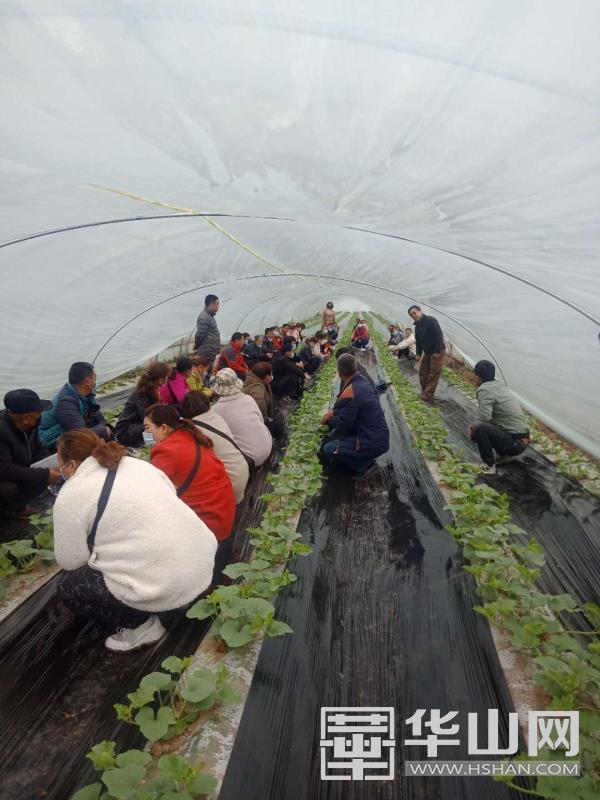 1586223517765949.jpg 1586223517765949.jpg