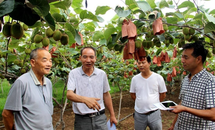 1602206265639834.jpg 1602206265639834.jpg