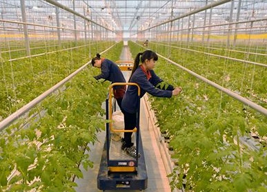 1602206299191038.jpg 1602206299191038.jpg