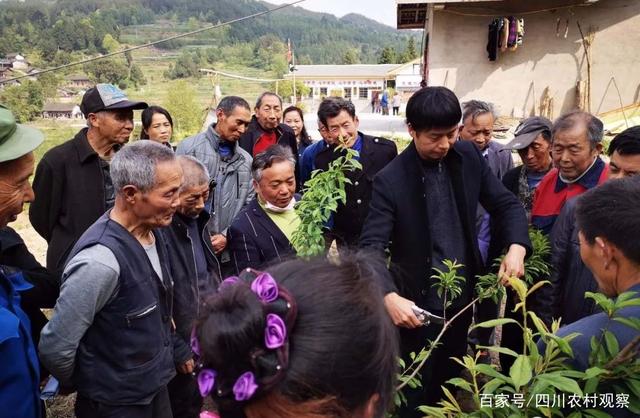 1611539321587516.jpeg 1611539321587516.jpeg