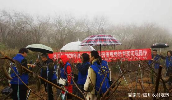 1611539451181638.jpeg 1611539451181638.jpeg