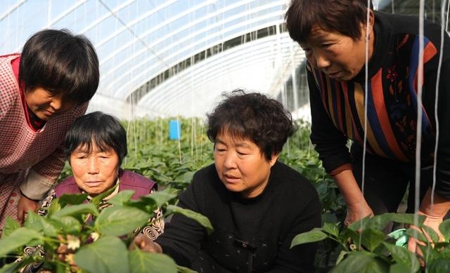 1618881653715858.jpg 1618881653715858.jpg