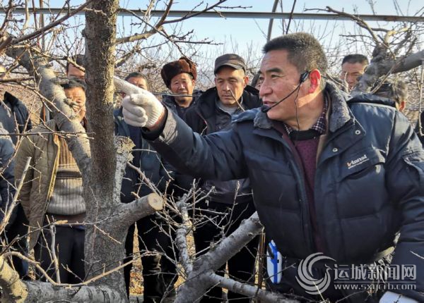 1548034990416124.jpg 圖1.jpg