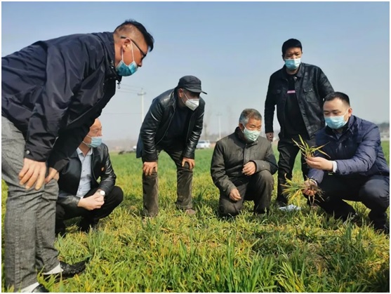 1584004701464429.jpg 1584004701464429.jpg