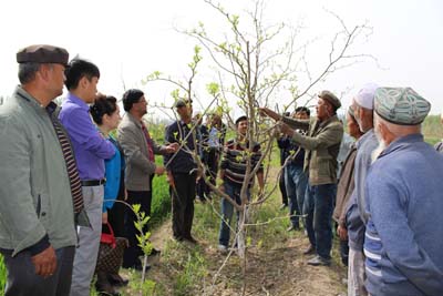 1 W020160426342023590813.jpg