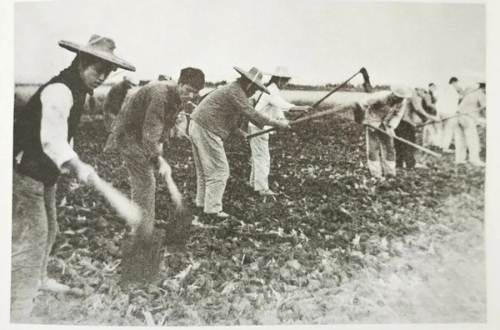 1625197117799989.jpg 6.jpg