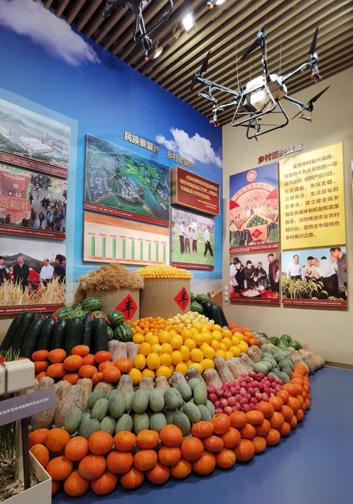 1625197464992655.jpg 12.jpg