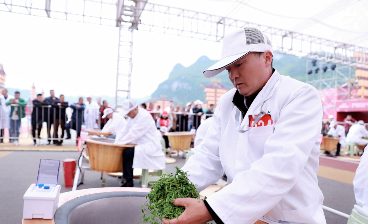 1682575068590942.jpeg 1682575068590942.jpeg